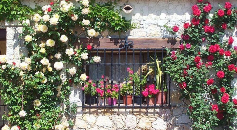 Hotel Castel Garoupe Antibes Esterno foto